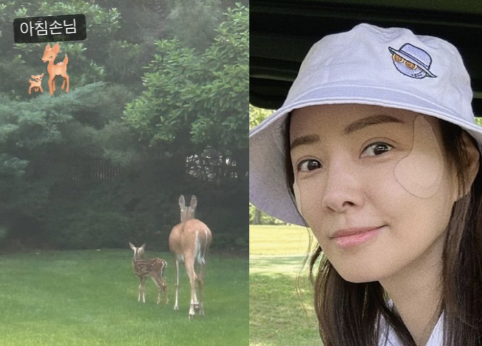 권상우♥손태영 미국 집, 얼마나 크면 '사슴이 찾아올 정도'…놀라운 "아…
