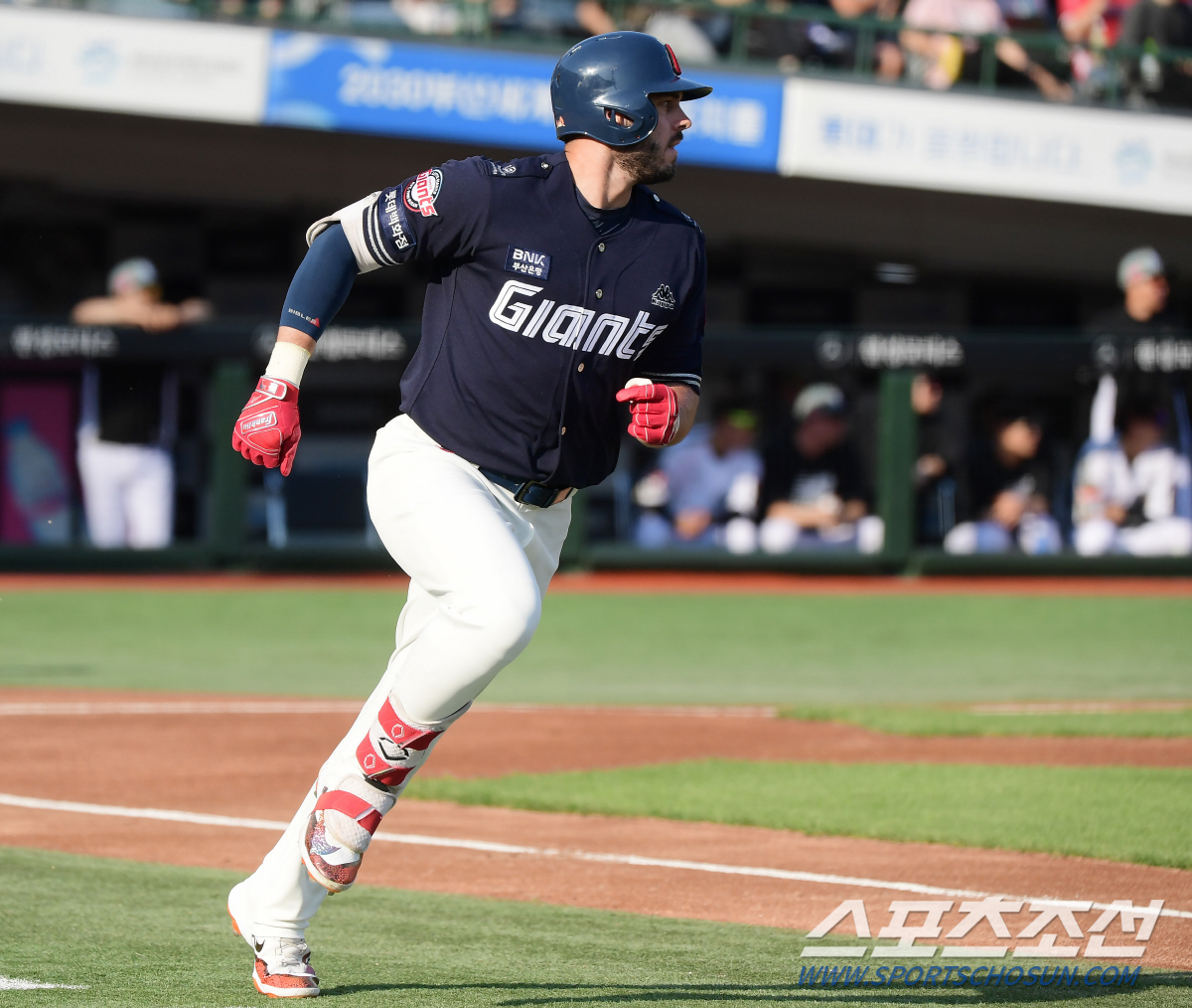 무릎 보호대 차고 훈련, 수비 부담에 지명타자 출전...결과는 4타수 무…