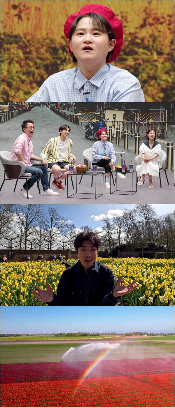 김신영 "튤립 한 송이가 집 한 채 값이라고?" ('다시갈지도')
