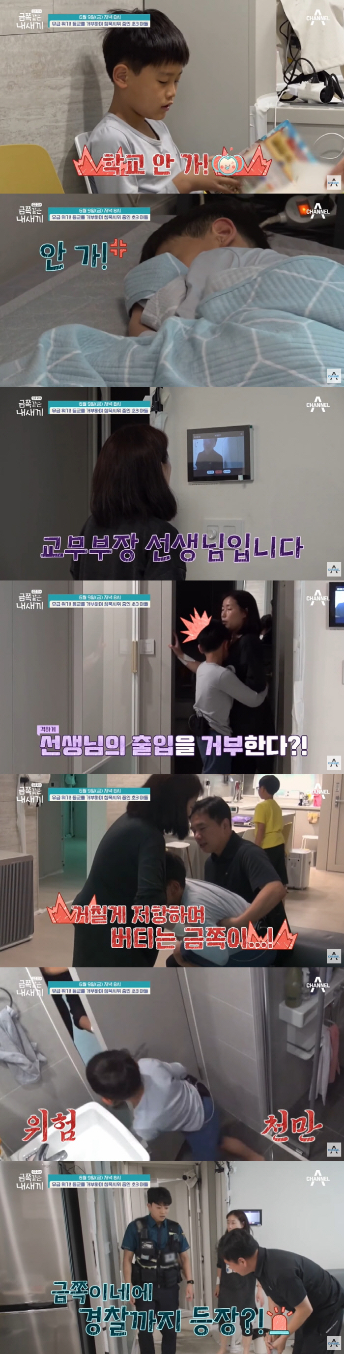 '유급 위기' 초3 금쪽이 "학교 안가"...샤워기로 위협→경찰 출동 (…