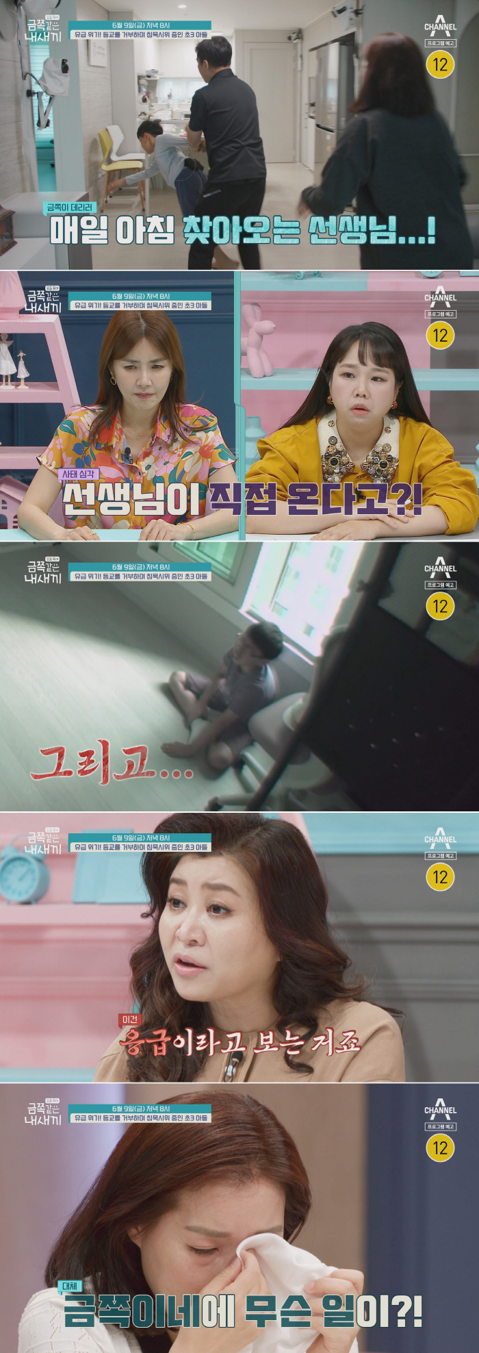 '금쪽같은 내내끼' 빈방 홀로 울부짖던 금쪽이 형의 '돌발 행동'…스튜디…