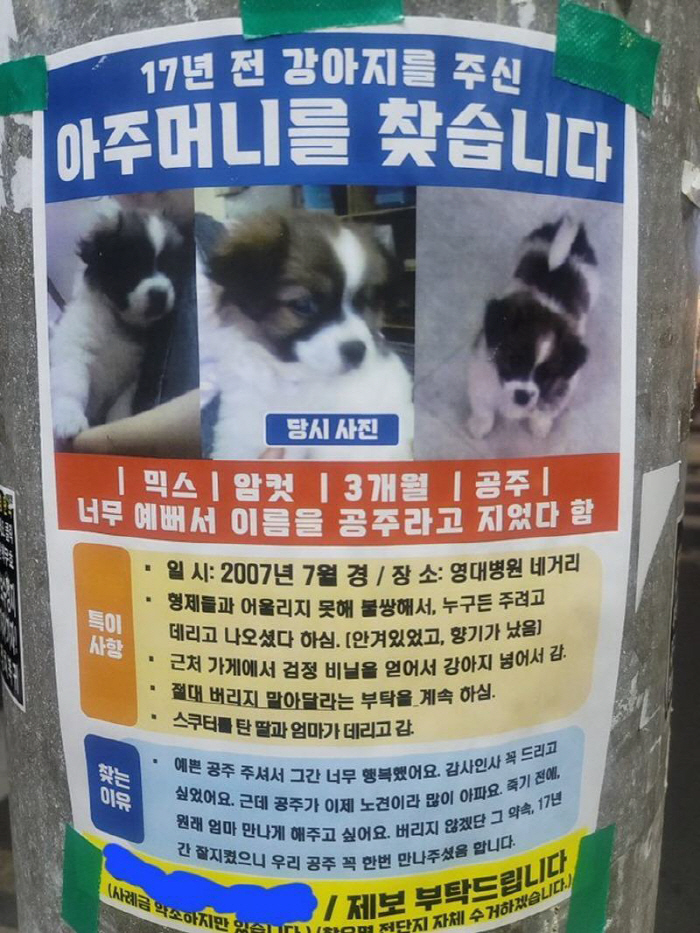 "17년 전 강아지를 주신 아주머니를 찾습니다."…가슴 뭉클한 사연 전해…