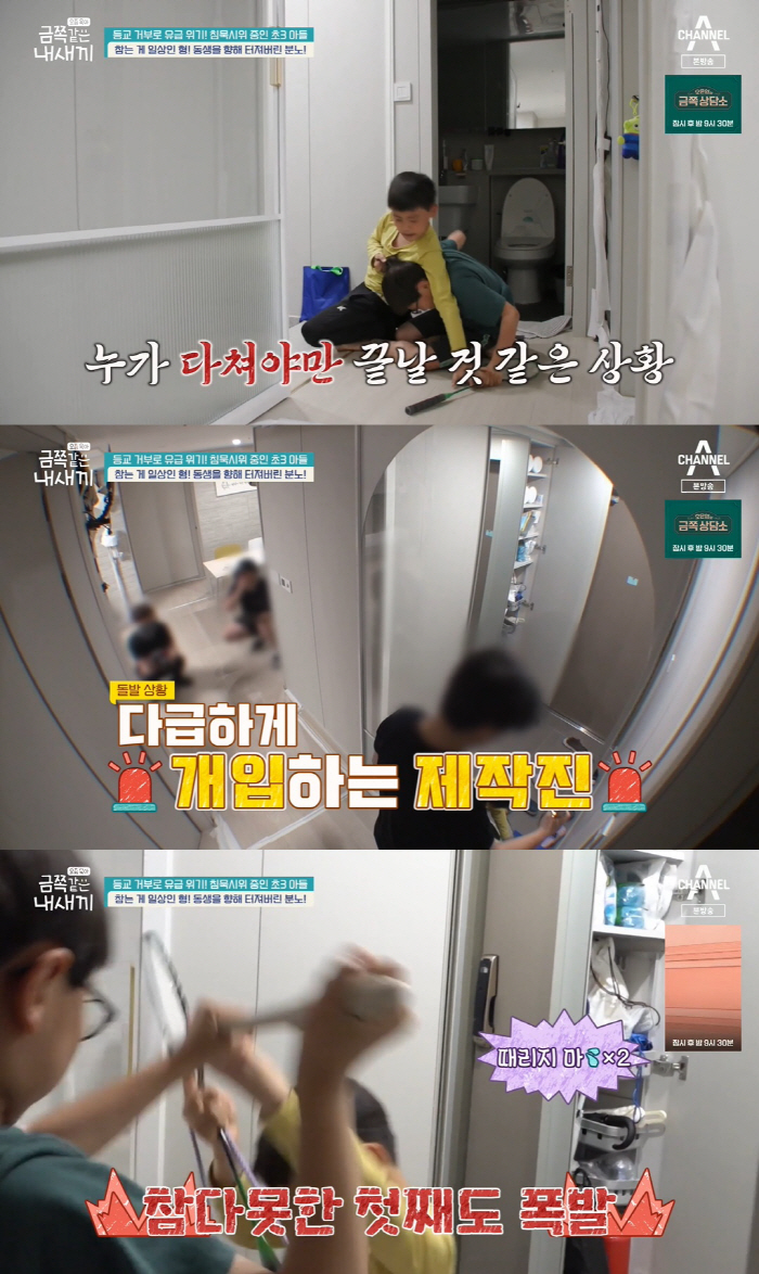 "엄마는 금쪽이만 사랑해" 난간서 울부짖은 형까지…육탄전 형제 문제는? …