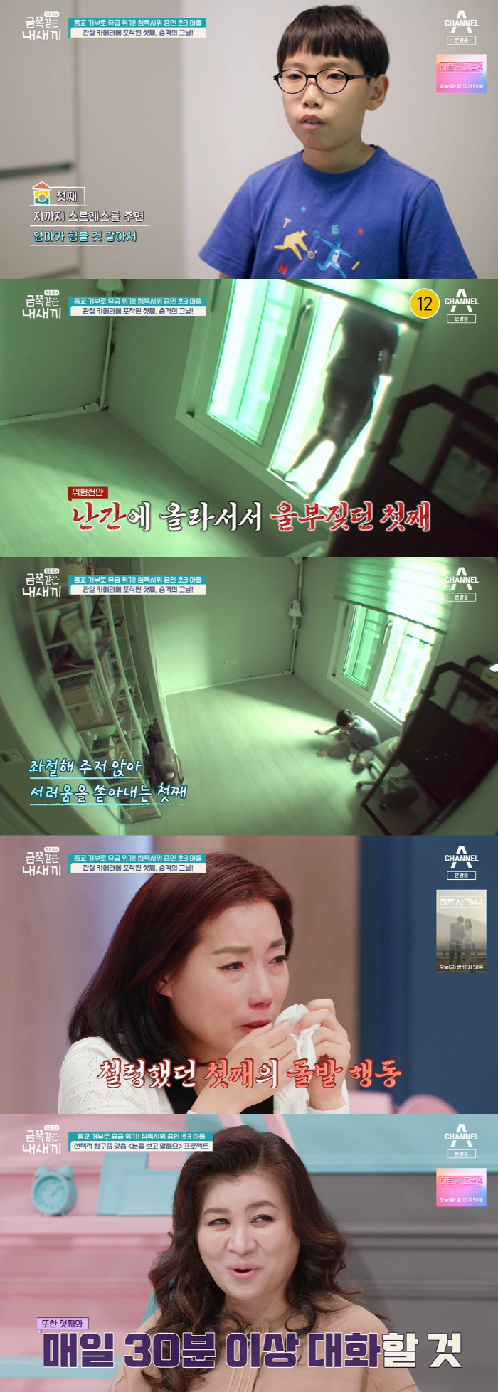 "엄마는 금쪽이만 사랑해" 난간서 울부짖은 형까지…육탄전 형제 문제는? …