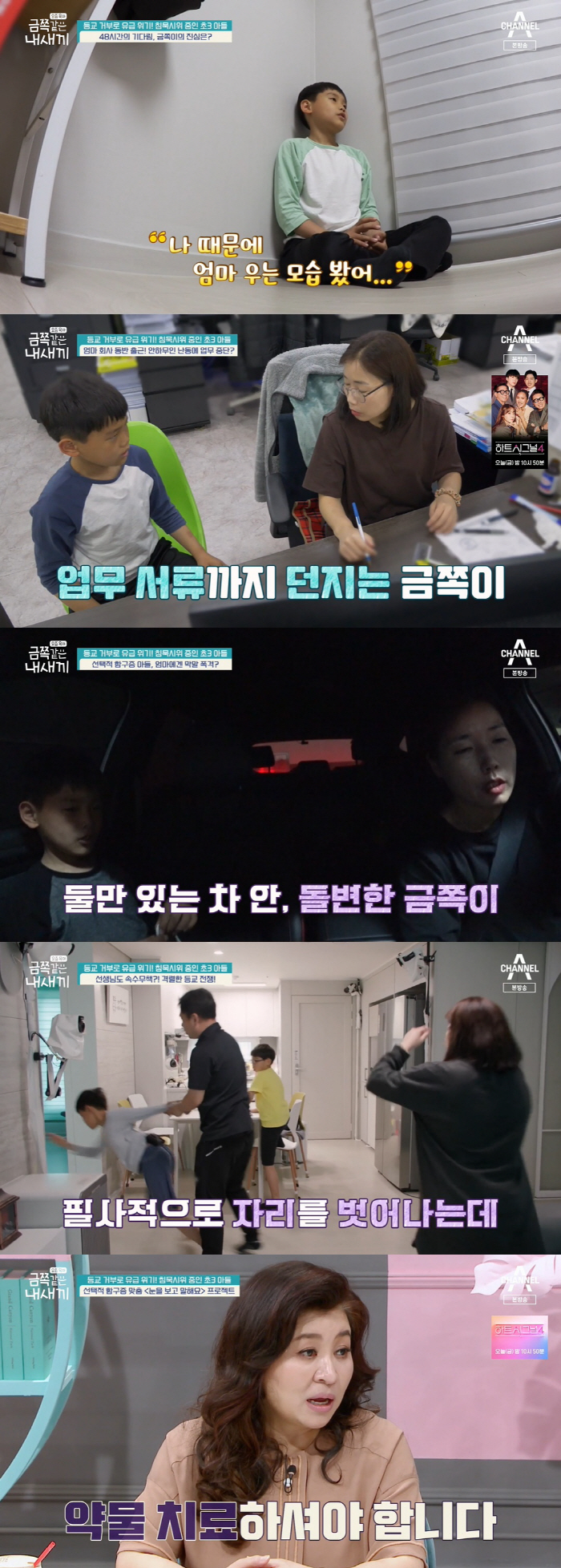 "엄마는 금쪽이만 사랑해" 난간서 울부짖은 형까지…육탄전 형제 문제는? …