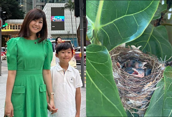 강수정, 80억 오션뷰 아파트에 새 4마리 태어나 "박씨 필요 없어"