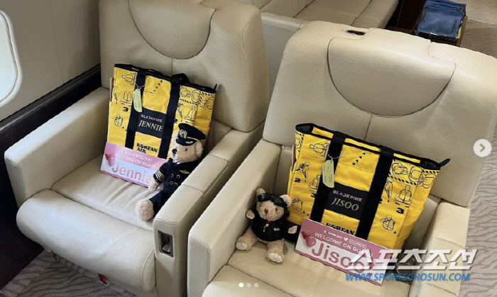 [SC이슈]'블랙핑크 전용기' 사용료는 얼마? 시간당 2800만원대'에 …
