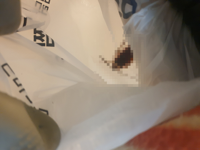 "배달시킨 찜닭 봉투 속 성인 남성 엄지만한 바퀴벌레가 들어있었습니다."
