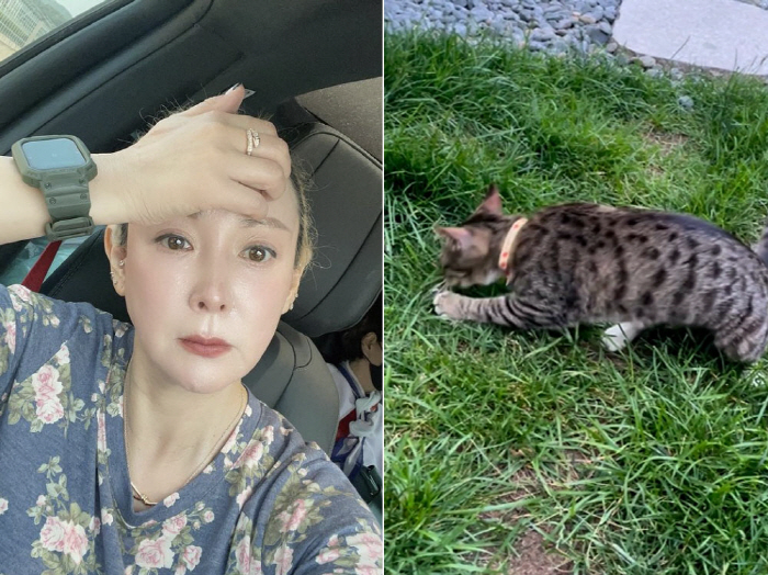 이상아, 로드킬 아픔 후 새 가족 맞았는데...또 '로드킬' "딸이 발견…