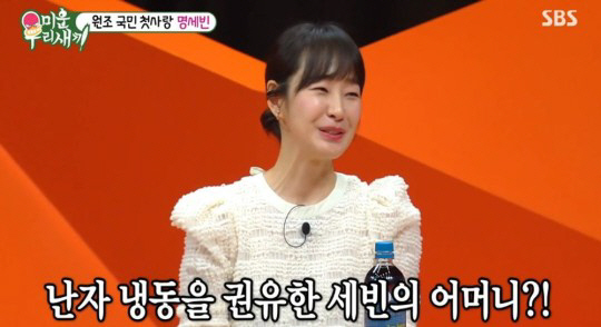 명세빈 "어머니 권유로 난자 냉동...나이가 많아서"(미우새)