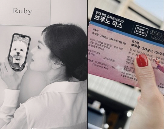 "특혜 NO!" 송혜교→갓세븐 영재, 브루노마스 콘서트 논란 속 당당한 …
