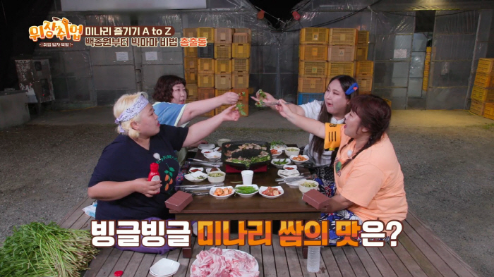 "난 확신의 대패상"…'퍼스널 컬러'는 무슨, '퍼스널 피그' 찾기 大폭…