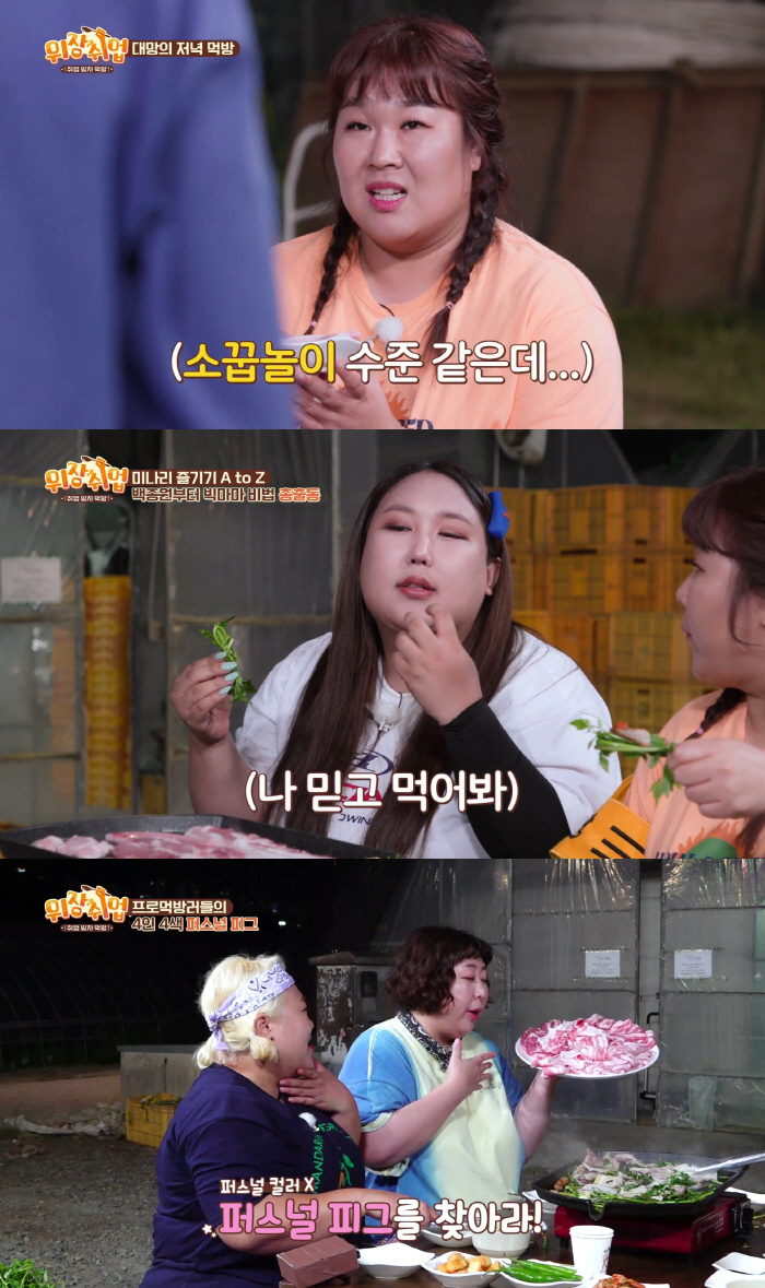 "난 확신의 대패상"…'퍼스널 컬러'는 무슨, '퍼스널 피그' 찾기 大폭…