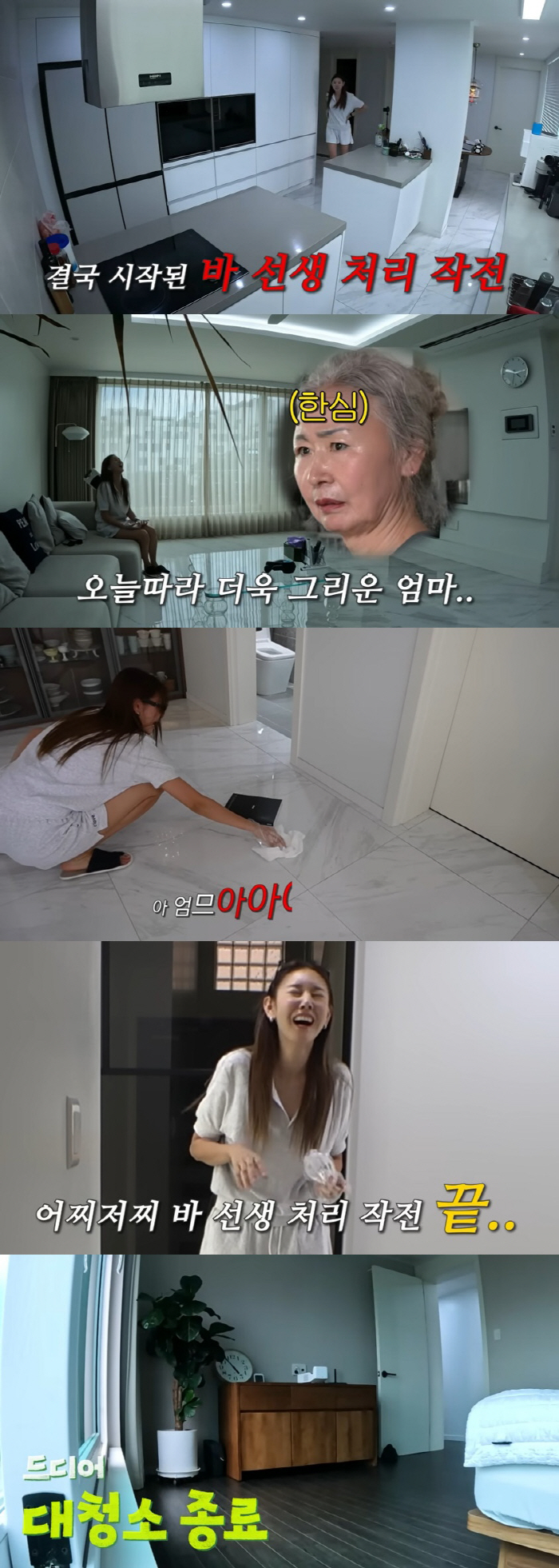 한혜진, 럭셔리 2층집 관리법 "가사도우미 NO, 늘 직접 청소한다"