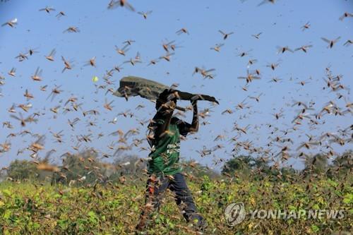 "우리는 지금 생존의 갈림길에 섰다"…툰베리가 쓴 '기후책'
