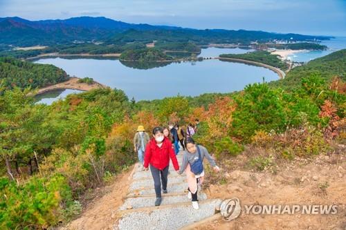 [강원 고성소식] 화진포 둘레길서 갈래구경길 걷기대회