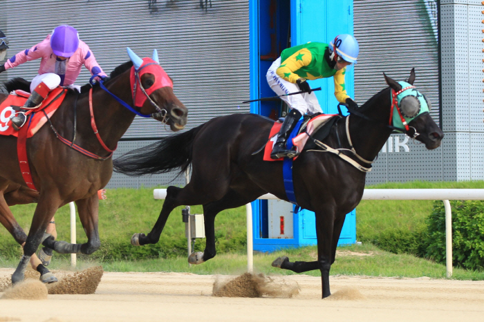 [경마] '6.25' 서울에서 부경까지 볼거리 가득 렛츠런파크 경부고속도…