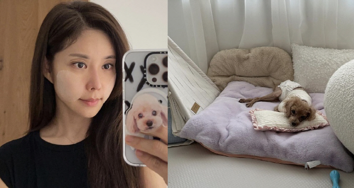 김준희, 개물림 사고 그 후 "쇼크로 인지능력이 예전 같지 않지만" [전…