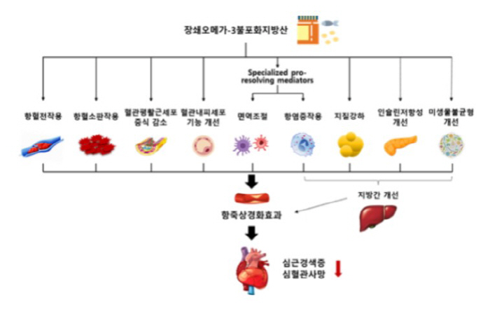 "오메가3 보충, 심혈관질환 사망위험 14% 감소…심근경색증 위험은 16…