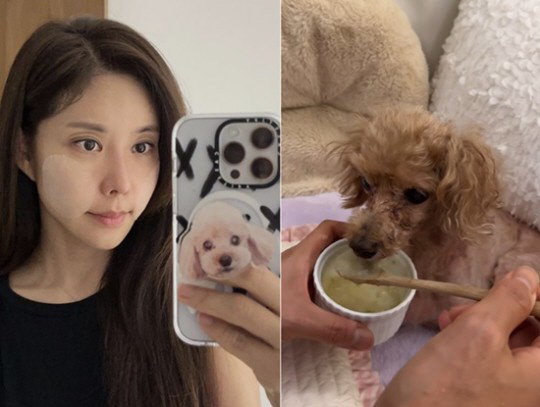 김준희, '개물림 사고' 반려견 심정지→기적 회복…엄정화 "대단해"