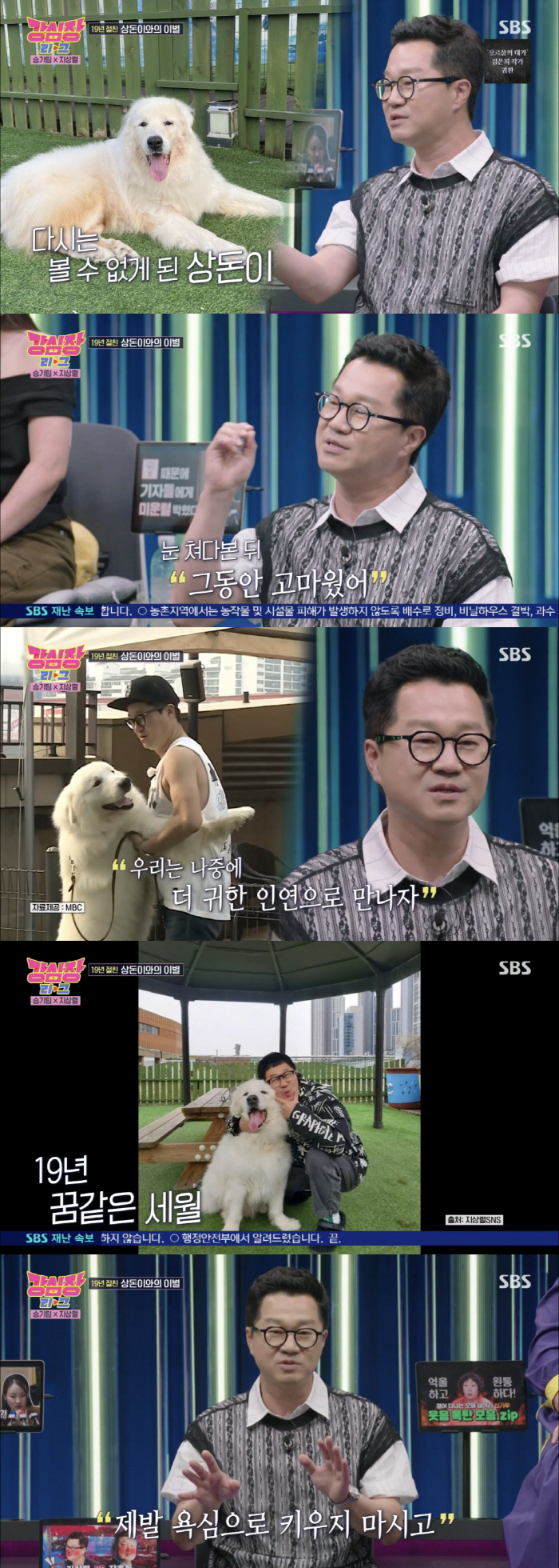 지상렬, 상돈이 녹화 이틀전 무지개다리 건넜다 …"제발 욕심으로 키우지 …