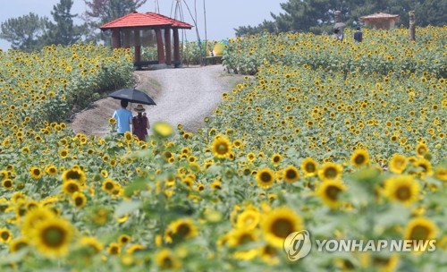 [연합뉴스 자료 사진. 재판매 및 DB 금지]