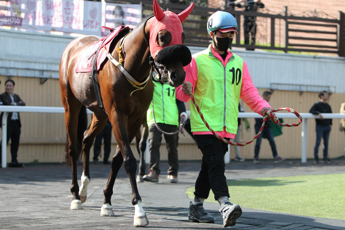 [경마]9일 오너스컵, 첫 대상경주 영광을 향한 노장들의 박 터지는 싸움…