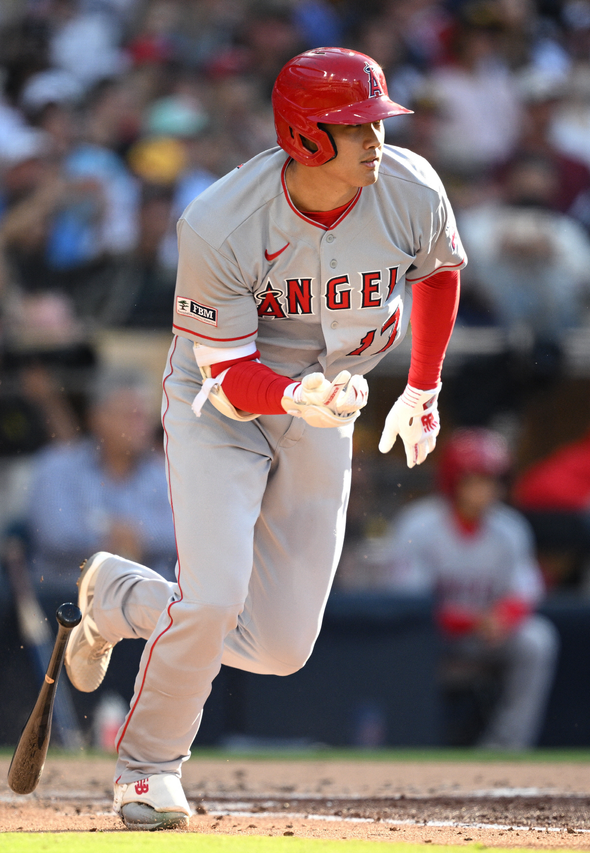 김하성 볼넷→도루, 오타니 보고 있나! 3연전 판정승.. 에인절스전 싹쓸…