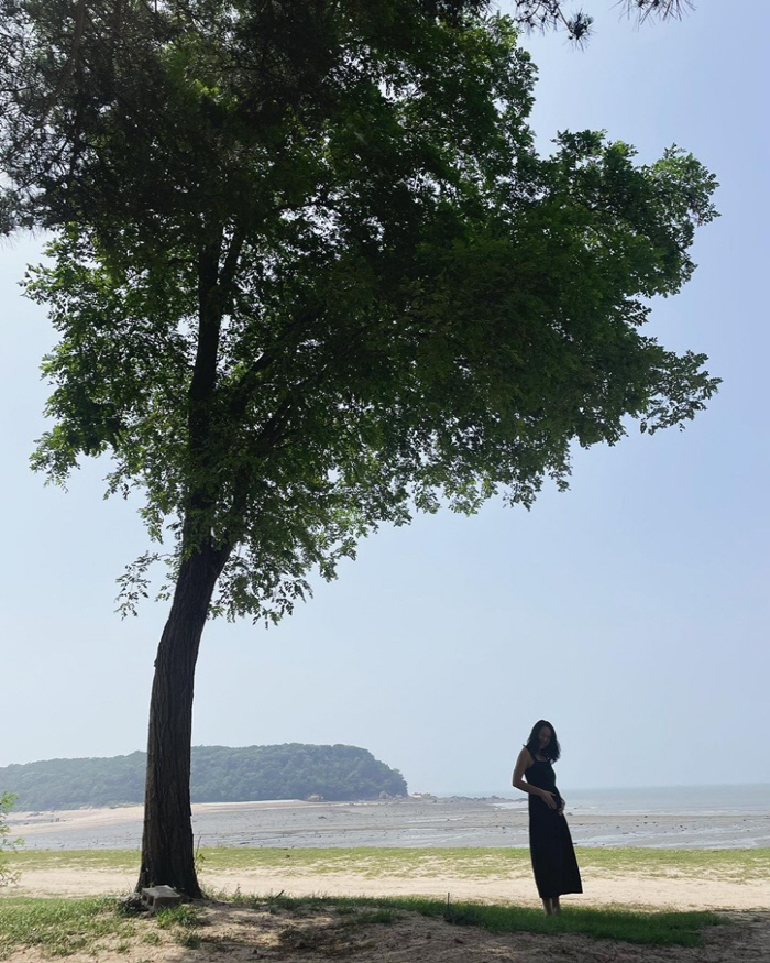 노라조 원흠 '결혼'·윤진서 '임신'·안영미 '출산'..★들 "경사났네!…