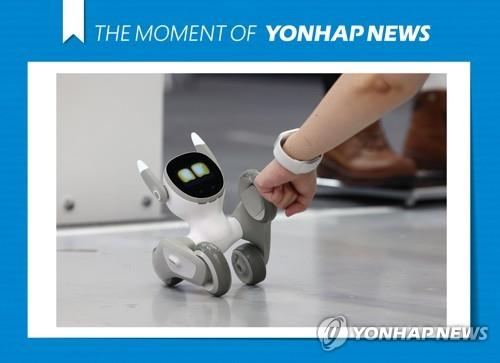 [연합뉴스 자료사진]