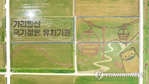 논에 그린 대형 그림…계절 따라 이색 풍경 연출