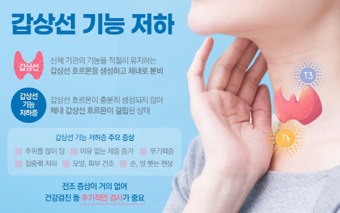 여름인데 춥고 피곤하고 손·발 붓는다면 '갑상선 기능 저하증' 의심