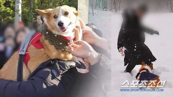 [SC이슈]'백호 누나'가 비단꽃 강양? "그거 저 맞다. 사람은 변할 …