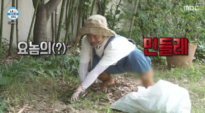 "직접 내가 관리" 박나래·최수종♥하희라, '정원 있는 집'에 사는 법 …