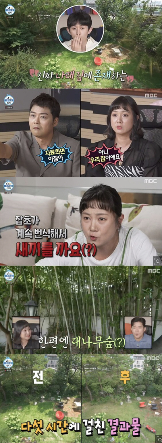 "직접 내가 관리" 박나래·최수종♥하희라, '정원 있는 집'에 사는 법 …