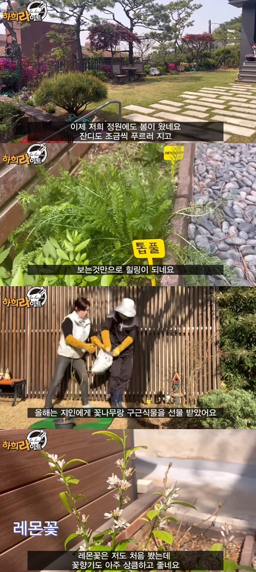 "직접 내가 관리" 박나래·최수종♥하희라, '정원 있는 집'에 사는 법 …