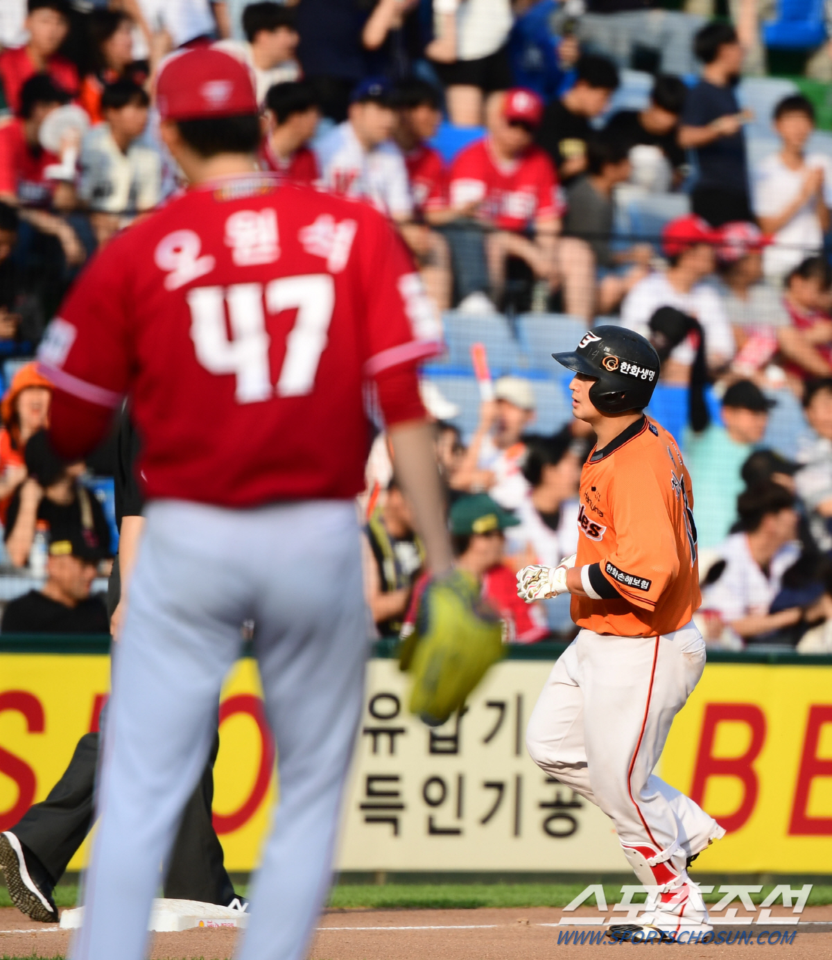 "모범 FA 한화에 다 모였네" 30대 베테랑 이태양 최재훈 채은성의 책…