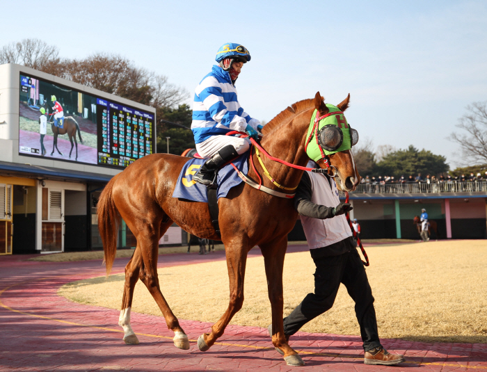 [경마]국산 최강 3세마 가리는 삼관경주 마지막 여정! '농림축산식품부장…