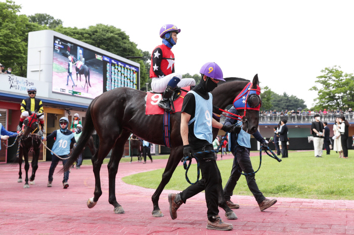 [경마]국산 최강 3세마 가리는 삼관경주 마지막 여정! '농림축산식품부장…