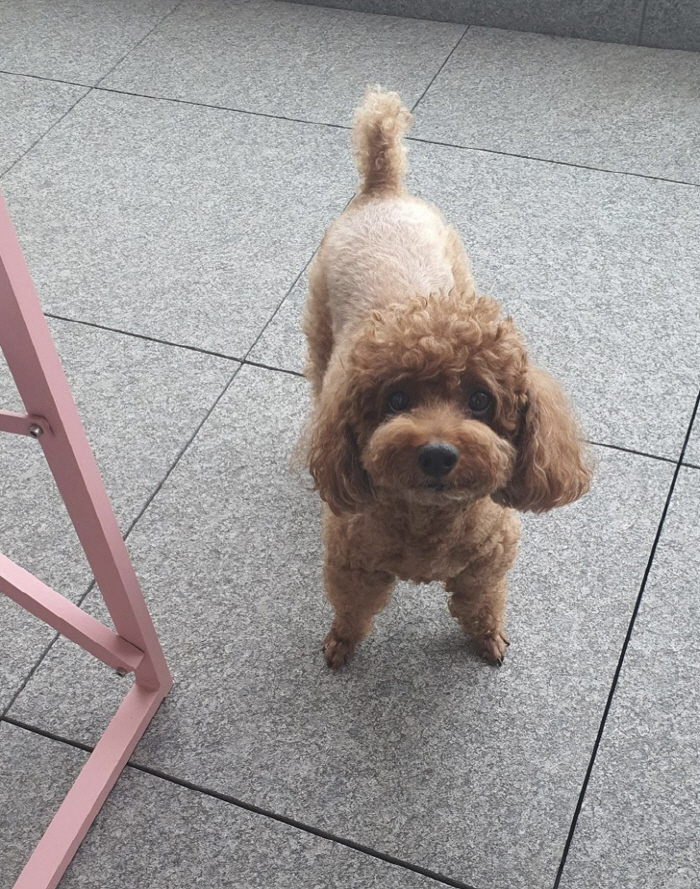 최화정, 집이야 카페야..휴양지 같은 테라스서 피자 먹방
