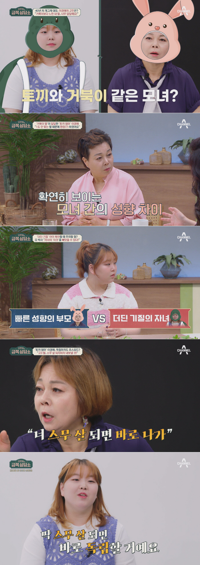 이경애 "전성기 시절 수입, 父가 도박으로 다 날려"(금쪽상담소)
