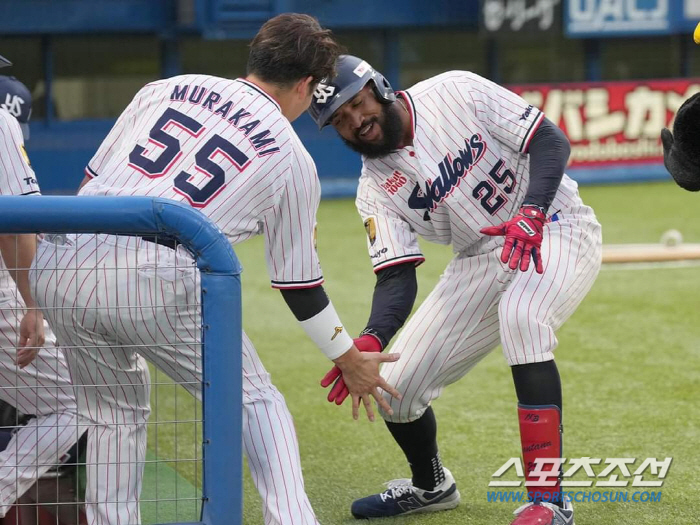 2경기 연속 홈런 홈런 홈런…뒤늦게 발동건 '괴물' 무라카미, 13~15호 치고 1위 오카모토 5개차 추격