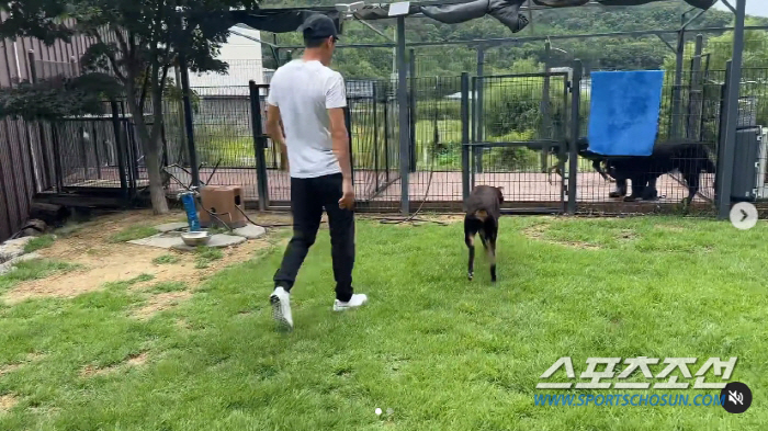 배정남, 기적을 봤다! 전신마비 판정 받은 '벨', 기적의 재활 성공