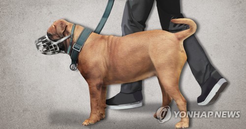 [정연주 제작] 일러스트