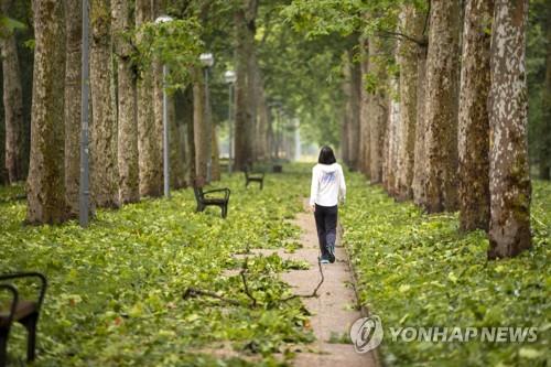 숨과 숨으로 연결된 나무와 나…'나무를 대신해 말하기'