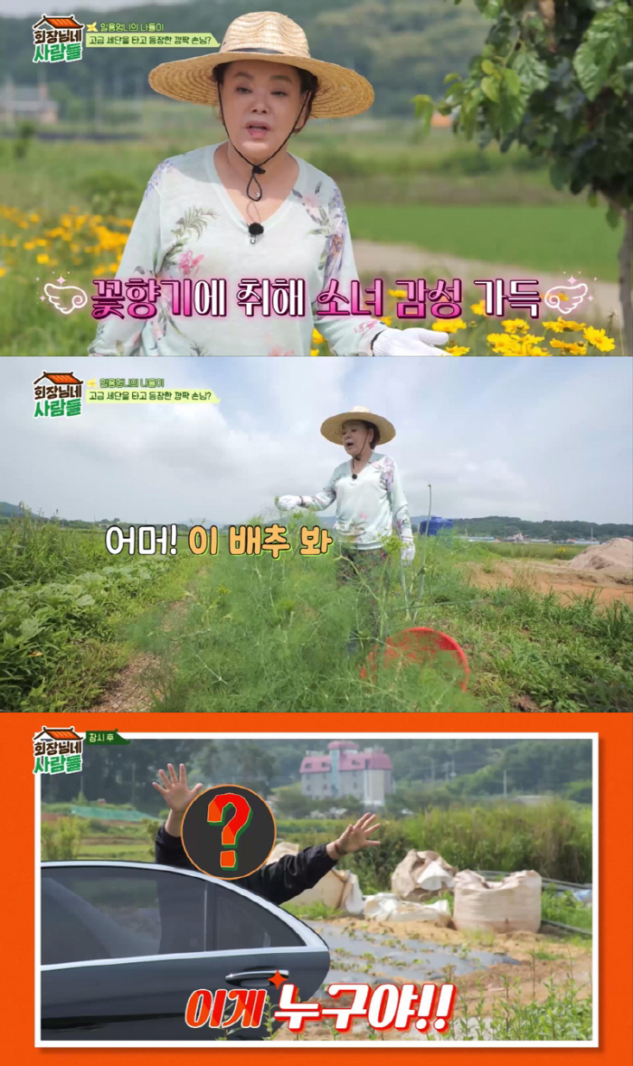 "너 만나러 왔어"…김수미, 쎄씨봉 멤버 등장에 '심쿵'('회장님네 사람…