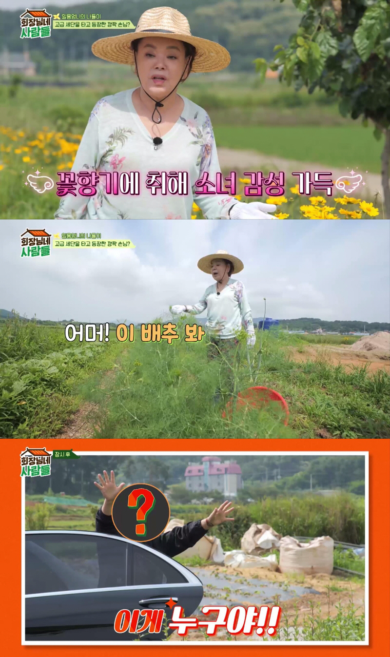 "너 만나러 왔어"…김수미, 쎄씨봉 멤버 등장에 '심쿵'('회장님네 사람…