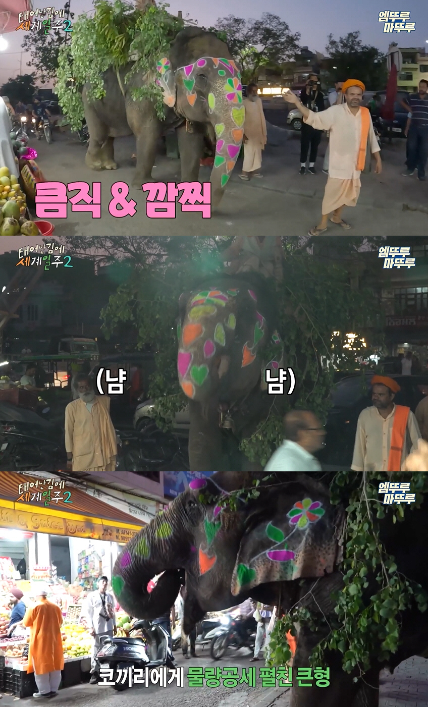‘태계일주2’ 인도서 교통사고→코끼리 등장→바지 터진 덱스..“꿈 꾼 것…