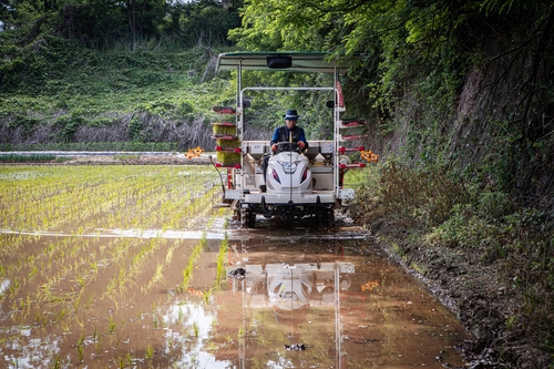 지난 2022년 경기도 파주시 접경지역에서 농민이 대전차 방호벽을 따라 모내기하는 모습. [연합뉴스 자료사진]