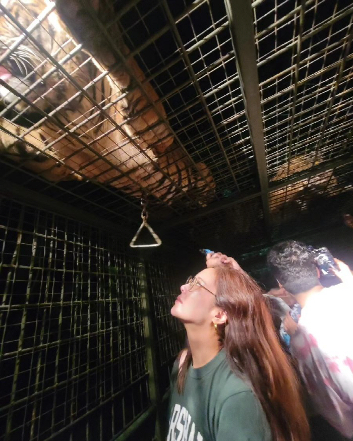 "저건 동물 학대수준인데"…황정음, 호랑이 관람 사진에 비난 폭주
